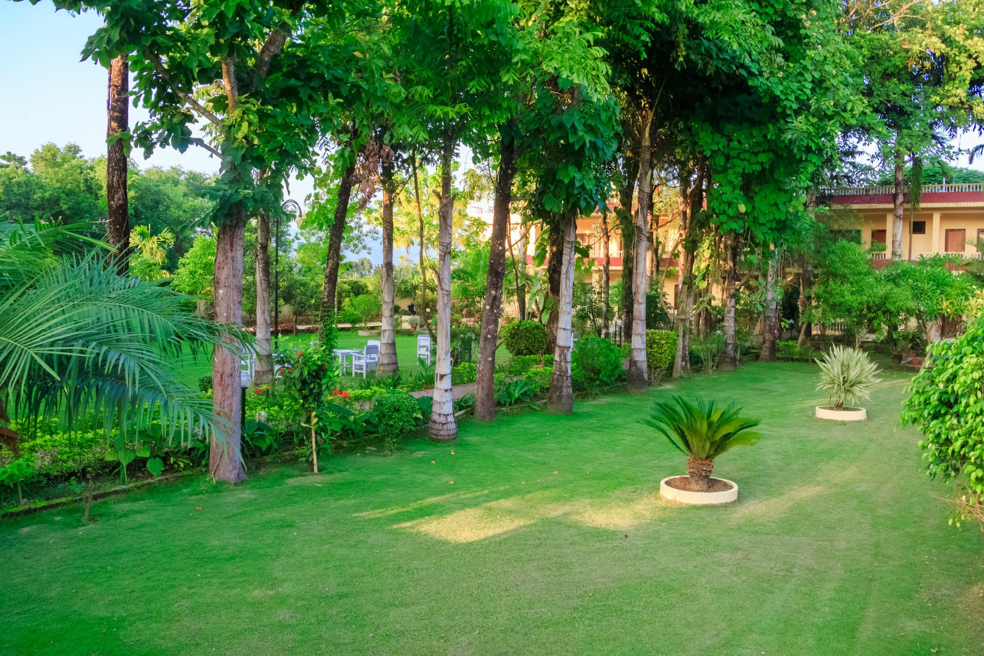 Hotel Rainforest Sauraha Exteriér fotografie